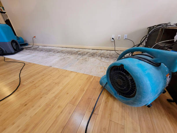 Reliable Burst Pipe Water Damage contractor in Kingston, NY by Hirex Water Damage