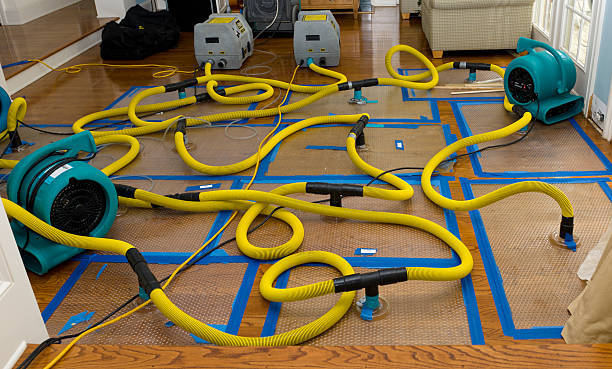 Professional Burst Pipe Water Damage technician working in Kingston, NY